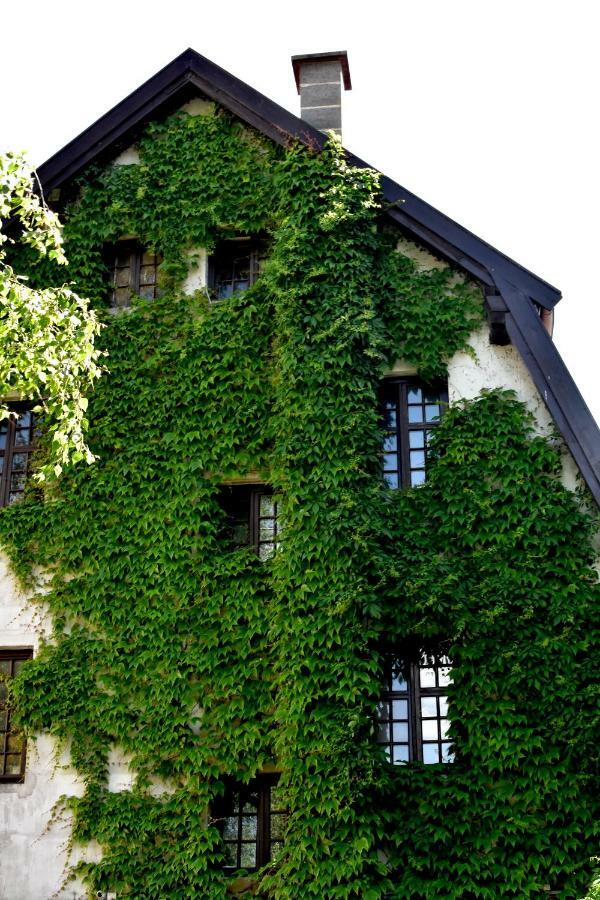Hostel Przy Targu Rybnym Gdańsk Extérieur photo